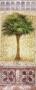 Lisbon Palm by Anne Searle Limited Edition Print