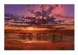 African Sunset by Jonathan Sanders Limited Edition Print