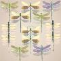 Floating Dragonflies Ii by Katja Marzahn Limited Edition Print