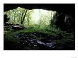 Entrance To Russell Cave National Monument, Alabama, Usa by William Sutton Limited Edition Print