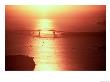 Auckland Harbour Bridge And Waitemata Harbour At Dusk, New Zealand by David Wall Limited Edition Print