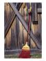 Barn Door And Broom, Montana, Usa by Darrell Gulin Limited Edition Print