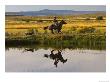 Ranch Living At The Ponderosa Ranch, Seneca, Oregon, Usa by Joe Restuccia Iii Limited Edition Print