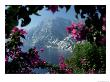 Positano And The Amalfi Coast Through Bougainvilla Flowers, Italy by John & Lisa Merrill Limited Edition Print