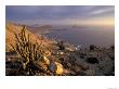 Desert Coast And Pacific Ocean, Atacama Desert, Pan De Azucar National Park,Chile by Andres Morya Limited Edition Print