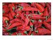 A Large Group Of Bright Red Chili Peppers by Joel Sartore Limited Edition Print