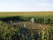 An Umpire Watches A Game On A Tennis Court Carved From A Cornfield by Joel Sartore Limited Edition Print