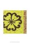 Key Lime Rosette Iii by Chariklia Zarris Limited Edition Print