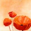 Poppy Queen by Erika Heinemann Limited Edition Print