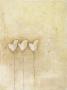 Arriere-Plan Beige Avec Trois Fleurs by Claudia Doucet Limited Edition Print