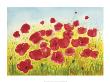 Leuchtender Mohn by Werner Lindt Limited Edition Pricing Art Print