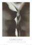 Flesh Of My Flesh by George Holz Limited Edition Print