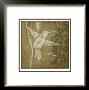 Wings & Damask Iii by Jennifer Goldberger Limited Edition Print