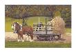 Amish Harvest by Kathleen Green Limited Edition Print