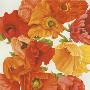 Red, Orange And Yellow Flowers by Julio Sierra Limited Edition Pricing Art Print