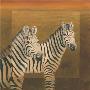 Two Zebras by Klaus Gohlke Limited Edition Print