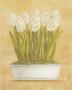 White Hyacinth by Cuca Garcia Limited Edition Pricing Art Print