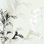 White Flower Fern by Kate Knight Limited Edition Pricing Art Print