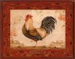 Gallo Nero by Pamela Gladding Limited Edition Pricing Art Print