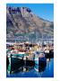 Fishing Boats In Hout Bay Marina, Cape Town, South Africa by Craig Pershouse Limited Edition Print