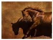 Adobe Dancer by Robert Dawson Limited Edition Print