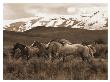 Horses Running by Robert Dawson Limited Edition Print