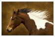 Painted Runner by Robert Dawson Limited Edition Print