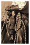 Buckaroo Ii In Sepia by Robert Dawson Limited Edition Print