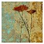 Poppy Pattern Ii by Eloise Ball Limited Edition Print