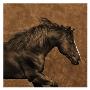 Eastward Gallop by Robert Dawson Limited Edition Pricing Art Print