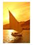 A Felucca Cruises On The Nile River At Sunset by Richard Nowitz Limited Edition Pricing Art Print