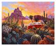 The Baja Trail by Stephen Morath Limited Edition Print