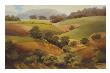 Golden Hills by Susanne Darius Limited Edition Pricing Art Print