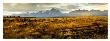 Wyoming Morning Panel by Robert Dawson Limited Edition Print
