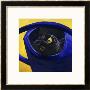 Cat In The Watering Can (Chat A L'arrosoir) by Isy Ochoa Limited Edition Print