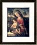 Madonna Of The Stoffe, Florence by Bernardino Di Betto Pinturicchio Limited Edition Print
