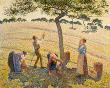 Apple Harvest, 1888 by Camille Pissarro Limited Edition Print