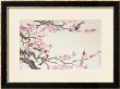 Singing Birds In Spring by Hsi-Tsun Chang Limited Edition Print