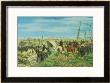 The Italian Camp At The Battle Of Magenta, 1859 by Giovanni Fattori Limited Edition Pricing Art Print