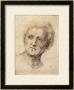 Head Of A Man, Possibly Bramante by Raphael Limited Edition Print