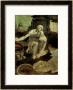 St. Jerome, Circa 1480 by Leonardo Da Vinci Limited Edition Pricing Art Print