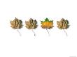 Autumn Leaves In A Row by Fogstock Llc Limited Edition Print