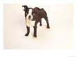 Boston Terrier Puppy by Fogstock Llc Limited Edition Print