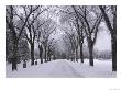Winnipeg Manitoba, Canada Winter Scenes by Keith Levit Limited Edition Print