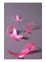 Pink Breast Cancer Ribbon by Don Romero Limited Edition Print