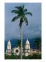 Cathedral Of Merida And Palm Tree, Merida, Venezuela by Krzysztof Dydynski Limited Edition Print