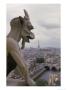 Gargoyle, Notre Dame, Paris, France by Alan Veldenzer Limited Edition Pricing Art Print