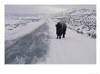 A Lone Bison Appears On A Long Stretch Of Snow-Covered Road by Joel Sartore Limited Edition Pricing Art Print