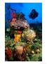 Diving In Colourful Reef, South Of Scott's Head Village, Scott's Head, Dominica by Michael Lawrence Limited Edition Pricing Art Print