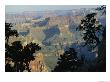 View Of The Grand Canyon From The South Rim In Arizona by Bill Hatcher Limited Edition Print